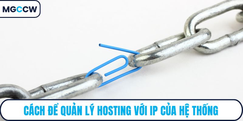 Cách để quản lý hosting với IP của hệ thống