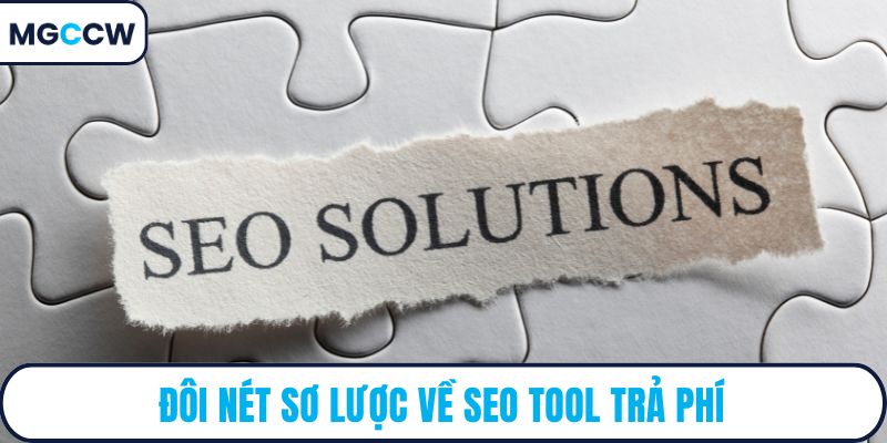 Đôi nét sơ lược về SEO tool trả phí