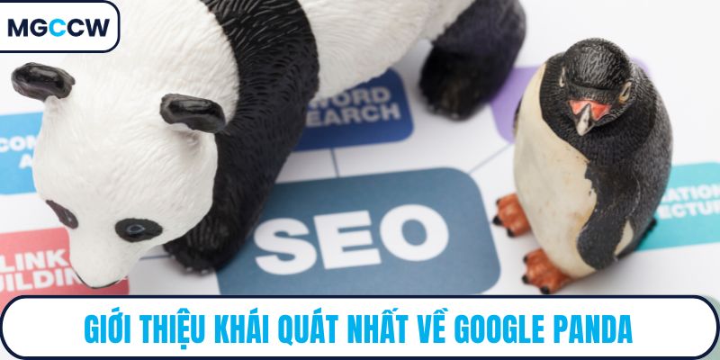 Giới thiệu khái quát nhất về Google Panda
