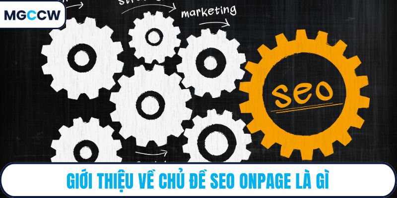 Giới thiệu về chủ đề SEO onpage là gì