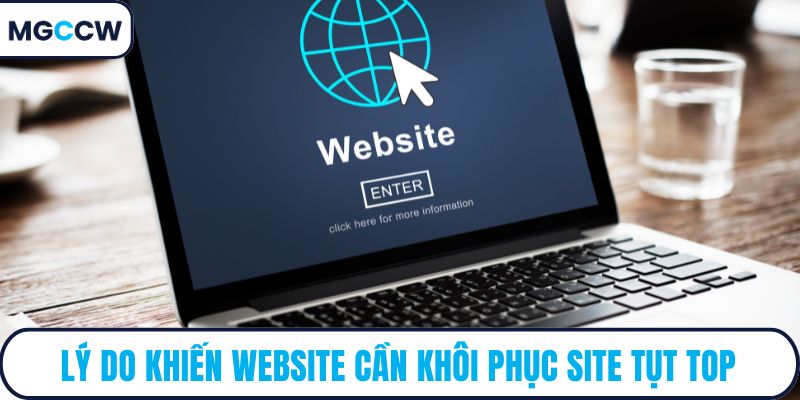 Lý do khiến website cần khôi phục site tụt top