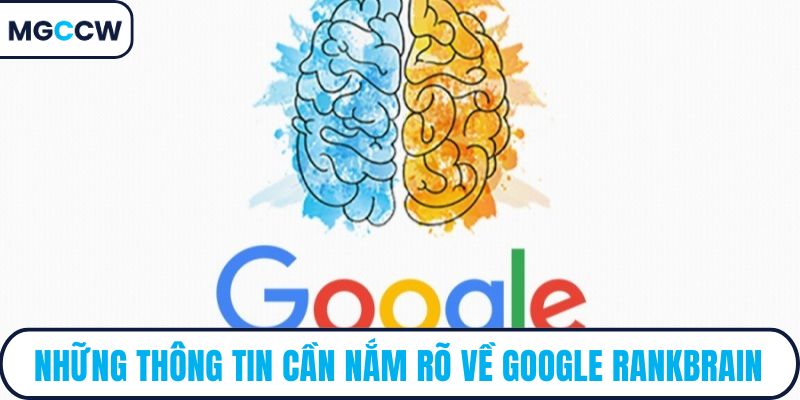 Những thông tin cần nắm rõ về Google RankBrain