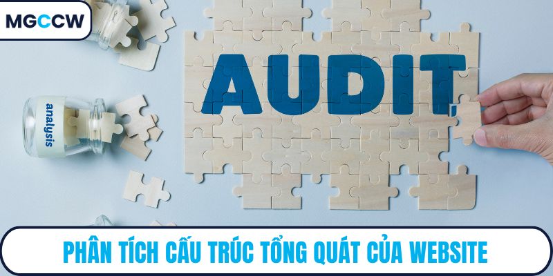 Phân tích cấu trúc tổng quát của website