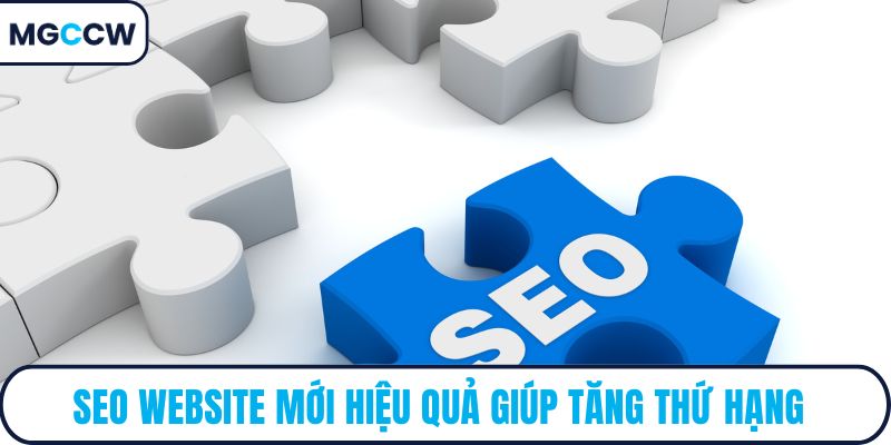 SEO website mới