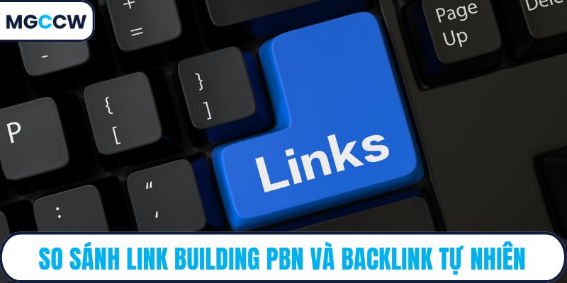 So sánh link building PBN và backlink tự nhiên