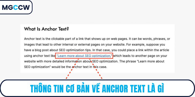 Thông tin cơ bản về anchor text là gì
