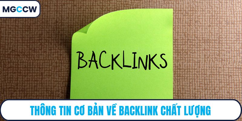 Thông tin cơ bản về backlink chất lượng