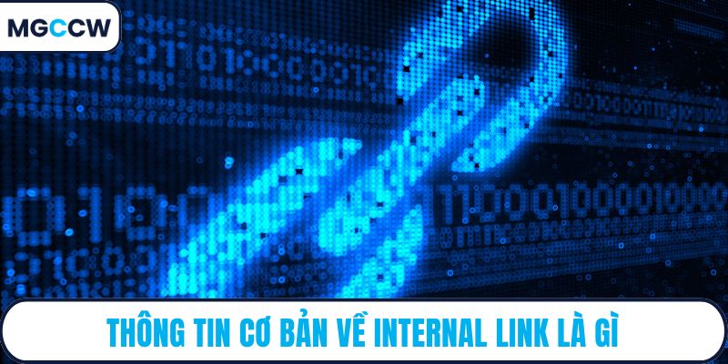 Thông tin cơ bản về internal link là gì