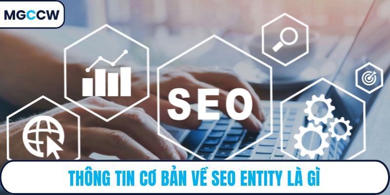 Thông tin cơ bản về SEO entity là gì