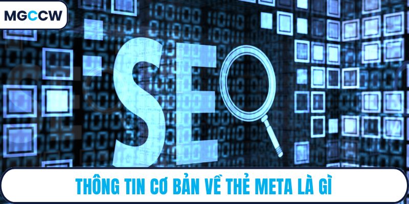 Thông tin cơ bản về thẻ meta là gì