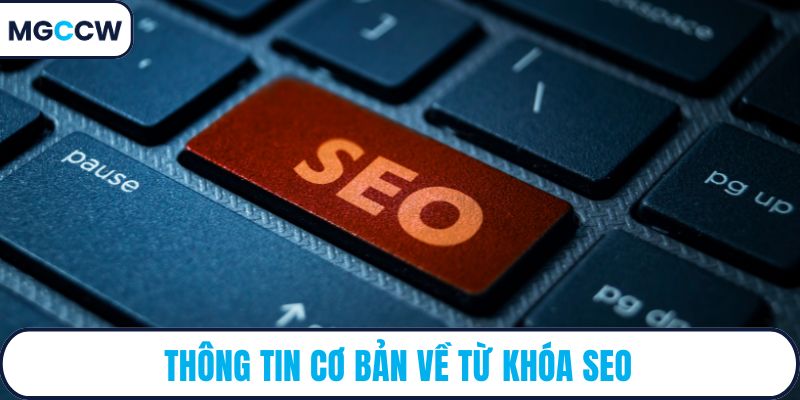 Thông tin cơ bản về từ khóa SEO