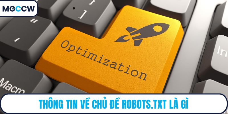 Thông tin về chủ đề robots.txt là gì