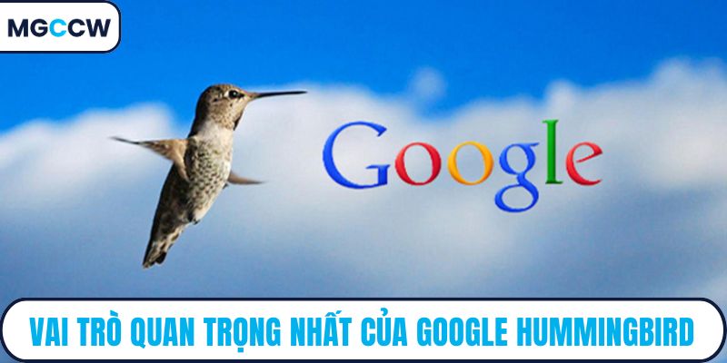 Vai trò quan trọng nhất của Google Hummingbird